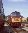 D1010 lays over in Bay Sidings at Minehead