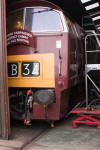 D1010 Western Campaigner in Williton Diesel Depot 