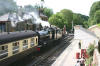 53809 running in to Goathland station