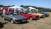 Triumph TR6, TR7 and Stag sports cars 