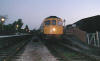 D6566 at Williton with the evening goods 