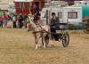 Pony driving at the GDSF 