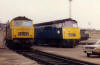 D7028, D1022 and D7023