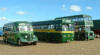 Three green buses, all in a row