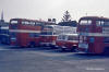 A selection of Wilts & Dorset buses, Salisbury garage 