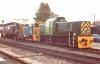 Classes 52, 14, 08 and 03 shunting at Williton