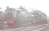 5542 and 5553 double head a goods train at Minehead