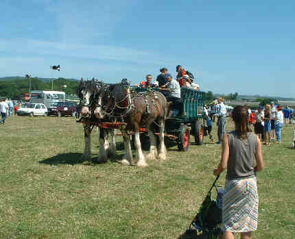 Horse bus rides round the Rally field