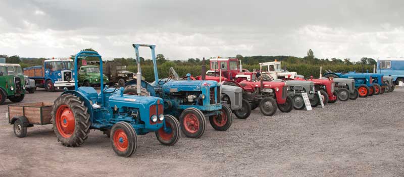 Line up of tractors 