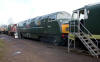 D7017, D832, D9526 and D1661 at Williton.  