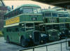 Bristol buses