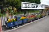Floral jubilee tribute at Bishops Lydeard.  