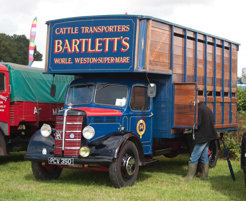 1952 Bedford O cattle wagon