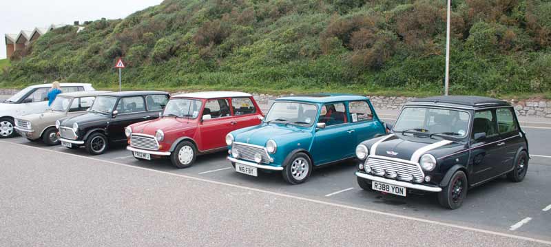 Variety of Minis on the sea front 